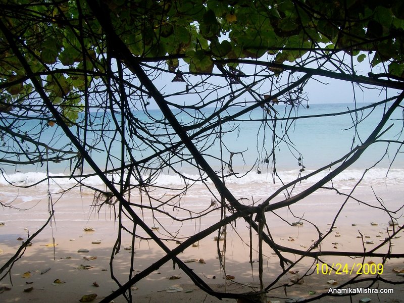 Serene And Beautiful Neil Island, Andaman & Nicobar Islands