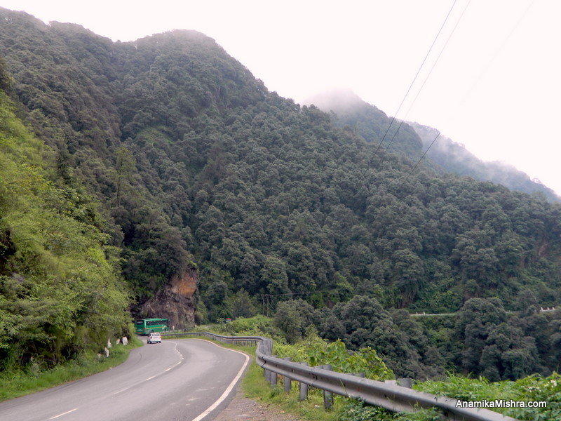 A RoadTrip From Chandigarh To Shimla