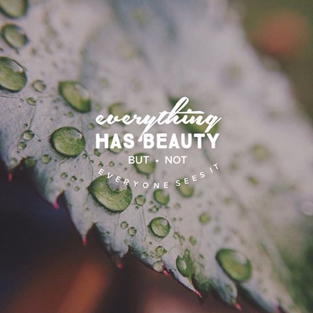 6 Inspiring Quotes on Beauty