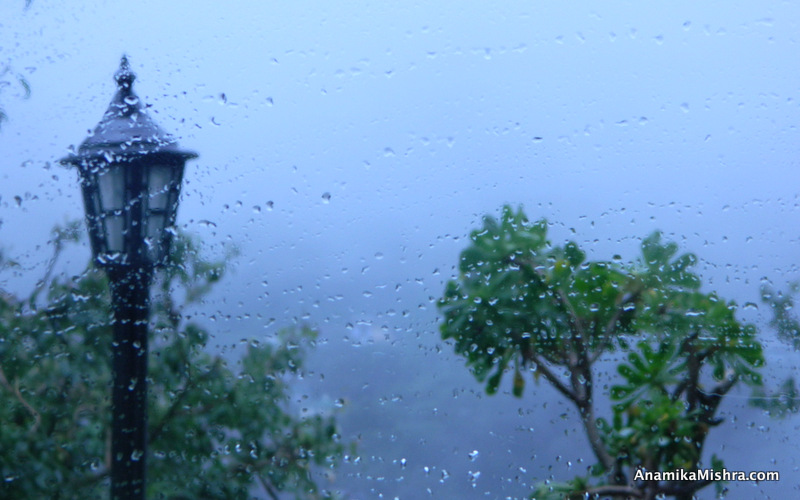 Feeling Happy on a Rainy Day - Beautiful Rain Photos