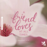 17+ Best Friendship Quotes & eCards