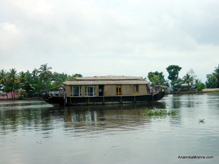 Houseboat Stay In Alleppey, Kerala + Photos From My Trip