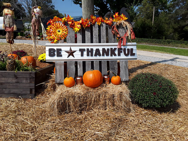 Harvest Festival Fall Sign