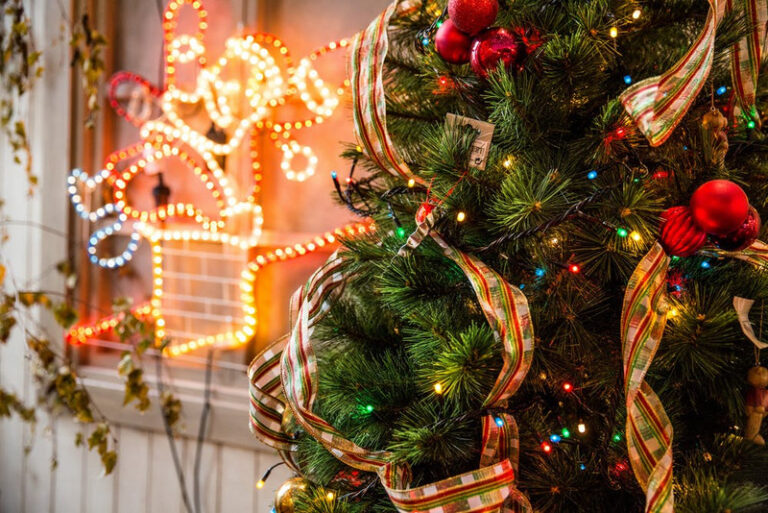 Most Beautiful Christmas Tree Pictures