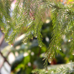 9 Fun Things to Do on a Rainy Day - My favourites!