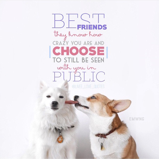 Best Friendship Quotes & eCards