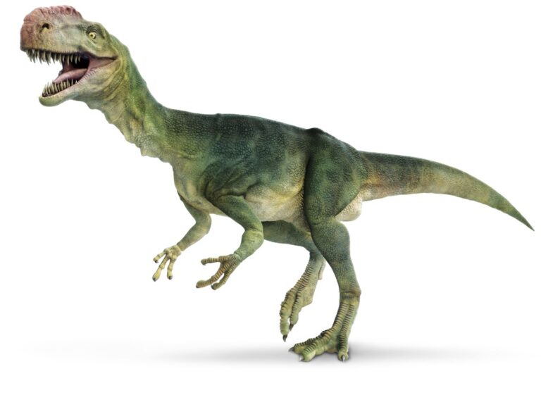 Dinosaurs
