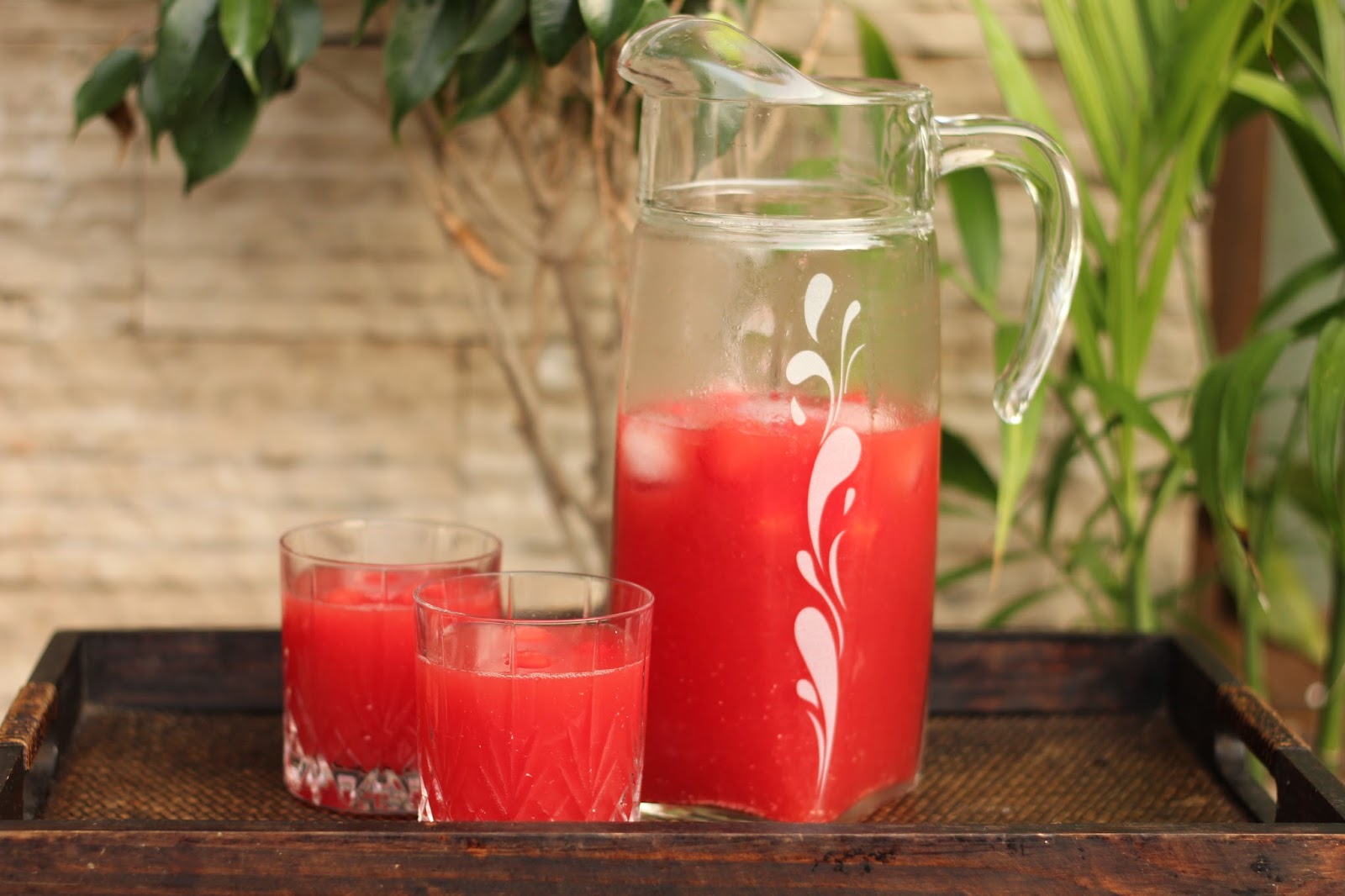 Watermelon Breeze Drink
