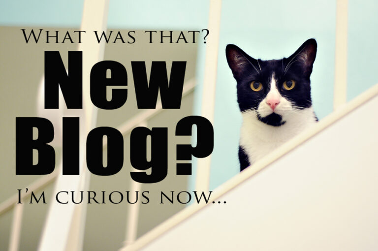10 Things To Know Before You Start A Blog