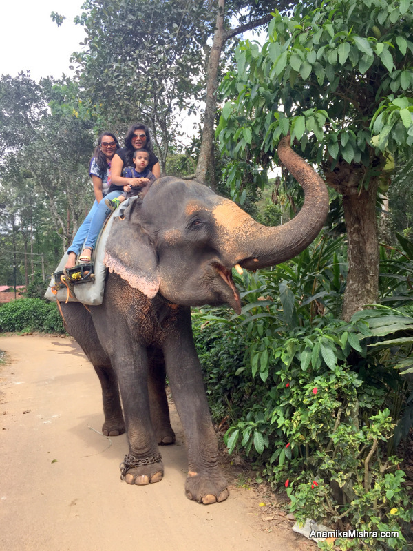 5 Best Things To Do In Thekkady + Photos From My Tour