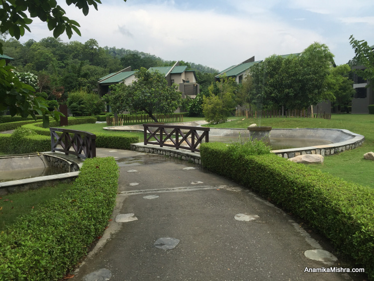 Yoga Retreat At Namah Luxury Resort, Jim Corbett