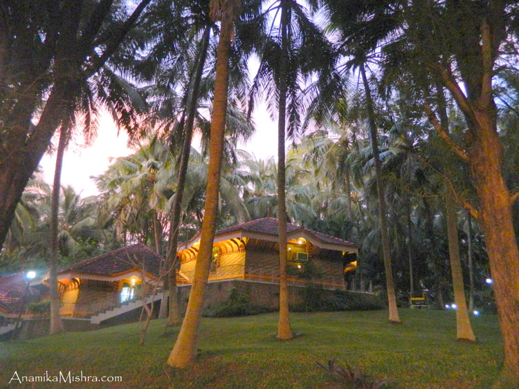 Kairali Health Resort & Spa - More Pics