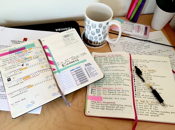 Tips To Use Your 2017 Planner More effectively