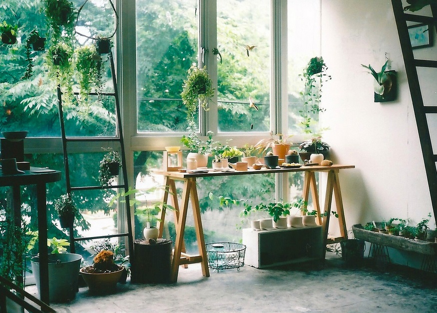 5 Best Ways To Keep The Indoor Air Fresh & Clean Ft. Livpure