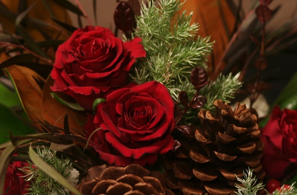 Christmas Flowers