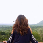 The Amarambalam Wildlife Sanctuary