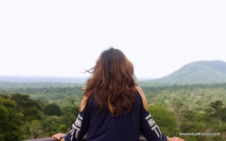 The Amarambalam Wildlife Sanctuary