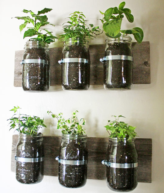 Make DIY Planters 