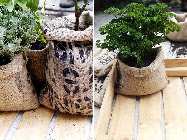 Make DIY Planters 