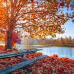 Beautiful Autumn Photo