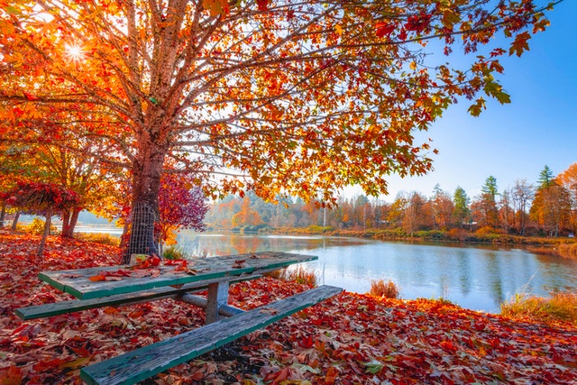 Beautiful Autumn Photo