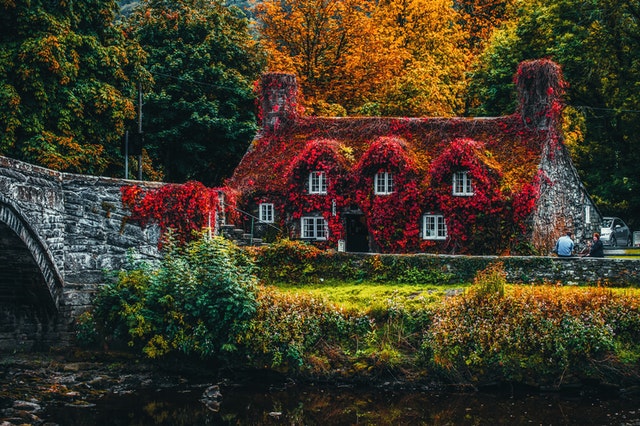 Beautiful Autumn Photo