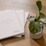 8 Low Maintenance Indoor Plants anyone can Grow