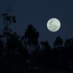 Step by Step Guide: Full Moon Rituals to Release & Let Go