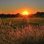 Reflect on 2021 & Get Ready for 2022 - Happy New Year!