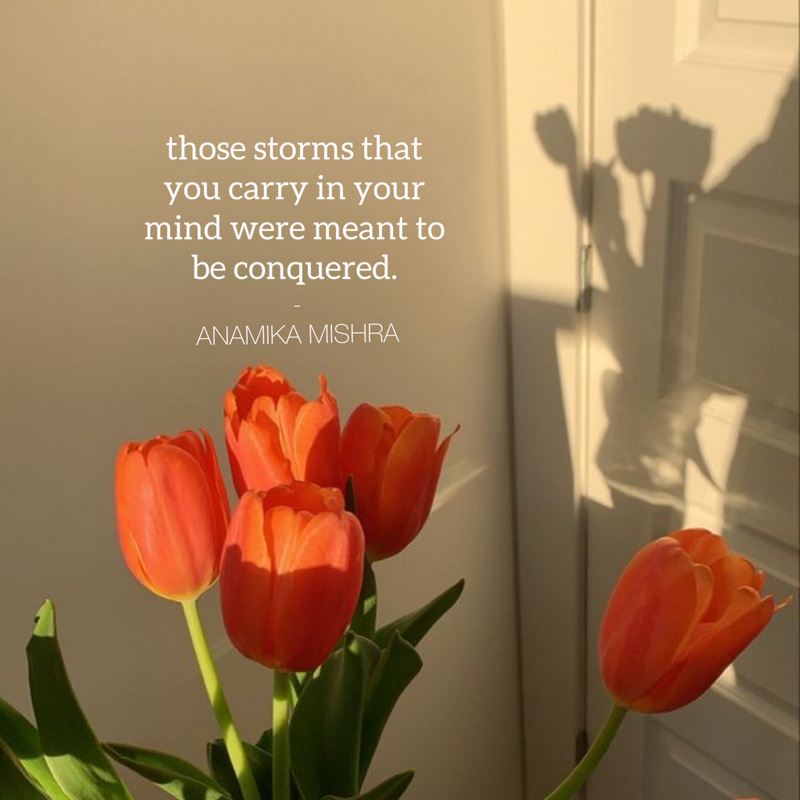 Those Storms That You Carry In Your Mind were Meant to be Conquered