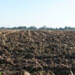 Methods of Soil Conservation