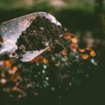 What is Soil Conservation? Why is it Important?