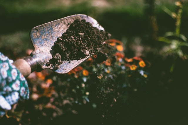 What is Soil Conservation? Why is it Important?