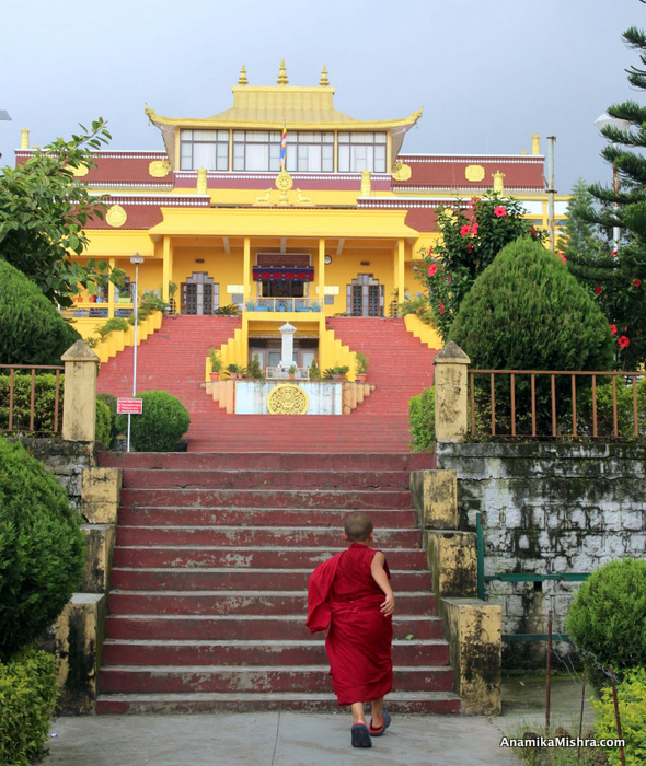 Gyuto Monastery, Dharamsala