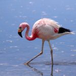 7 Places to visit in Thane with your friends and family