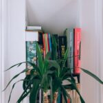 Tips to take care of your books in monsoon: