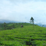You Must Visit THIS LAKE with Healing Powers Near MUNNAR