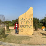 Sariska Tiger Reserve Guide - Reach, Stay, Safari & More
