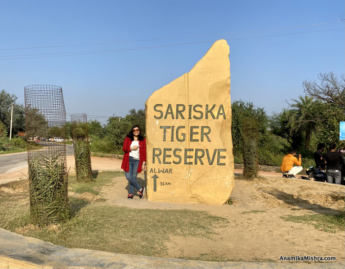 Sariska Tiger Reserve Guide - Reach, Stay, Safari & More