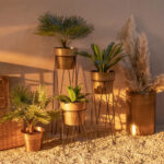 Give a Positive Vibe to Your Home in 2023 - Ft. Arcedior