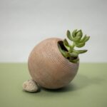 Should You Keep Jade Leaves in Your Pocket?