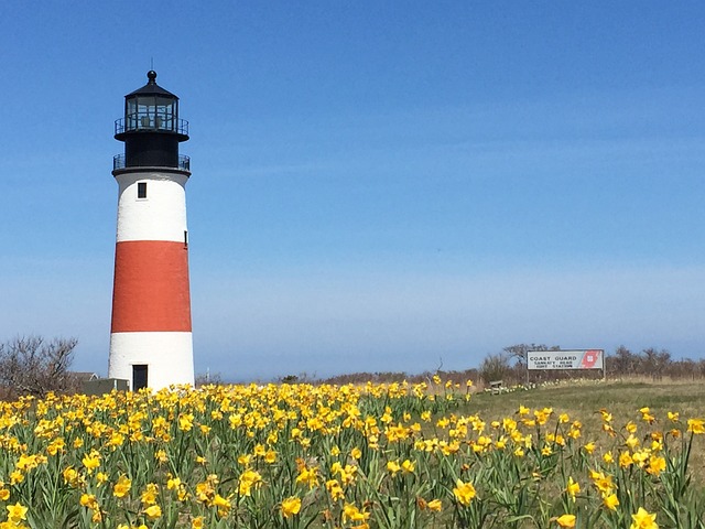 6 Ideas on What to Do in Nantucket with Friends
