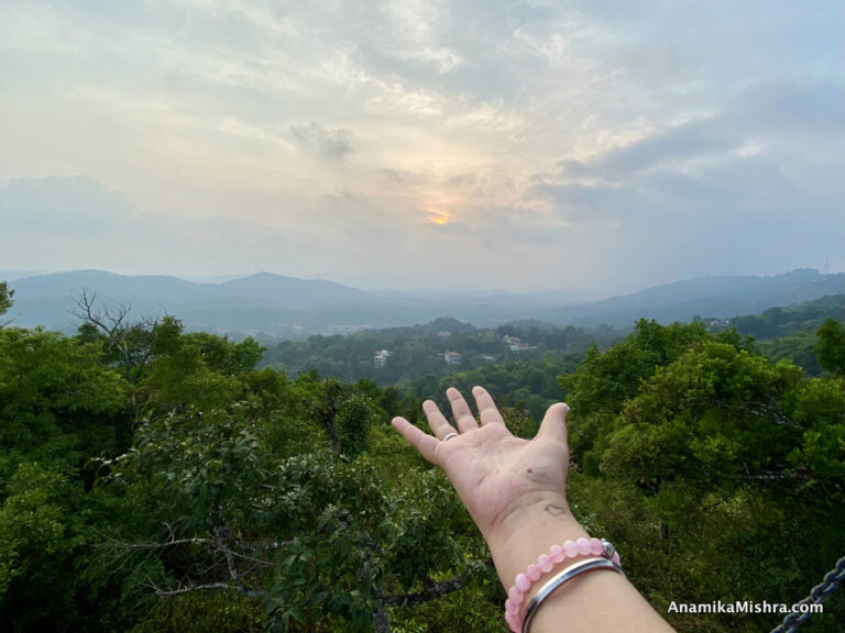 Coorg, Karnataka - The Coffee Cup of India
