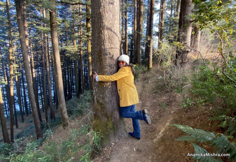 Kanatal, uttarakhand
