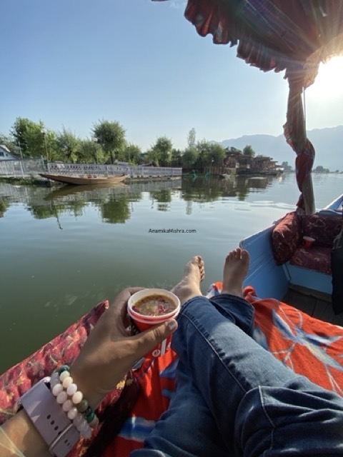The Melodies of Kashmir's Breeze - A Poetry on Kashmir Beauty