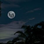 Powerful FULL MOON Affirmations to Manifest Love, Money & More