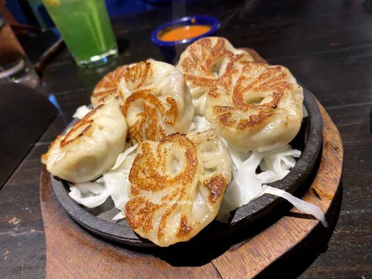 Best MOMOS in DELHI : 21 Places I Tried & LOVED for MOMOS