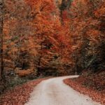 .OCTOBER Weather Around the WORLD