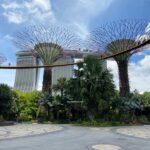 Magic in the Gardens: Exploring Supertree Grove in Singapore