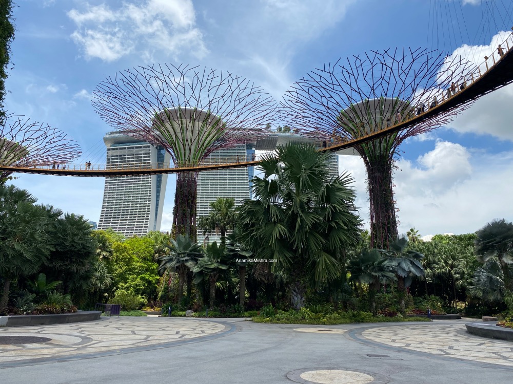 Magic in the Gardens: Exploring Supertree Grove in Singapore